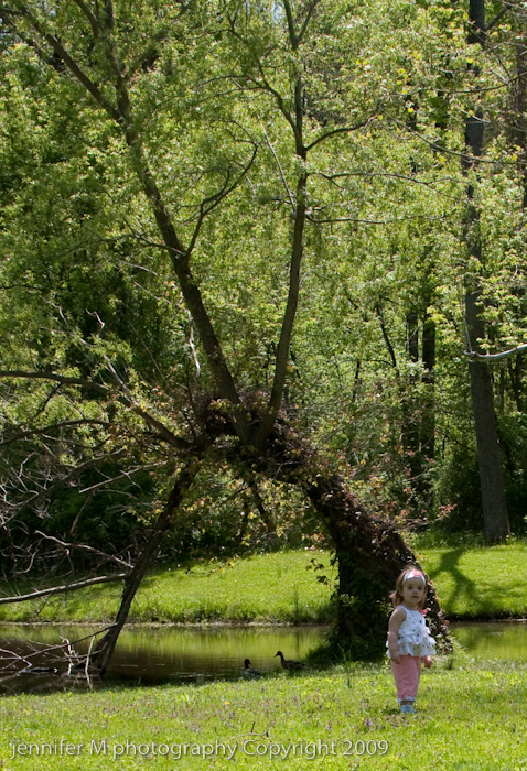 Akron Family photographer