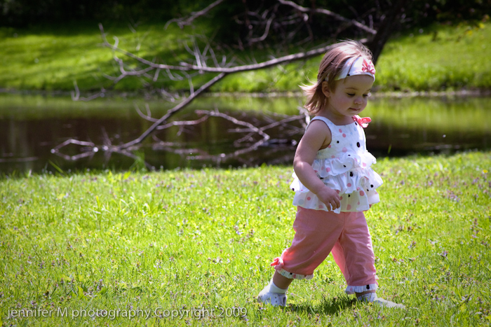 Akron Family photographer